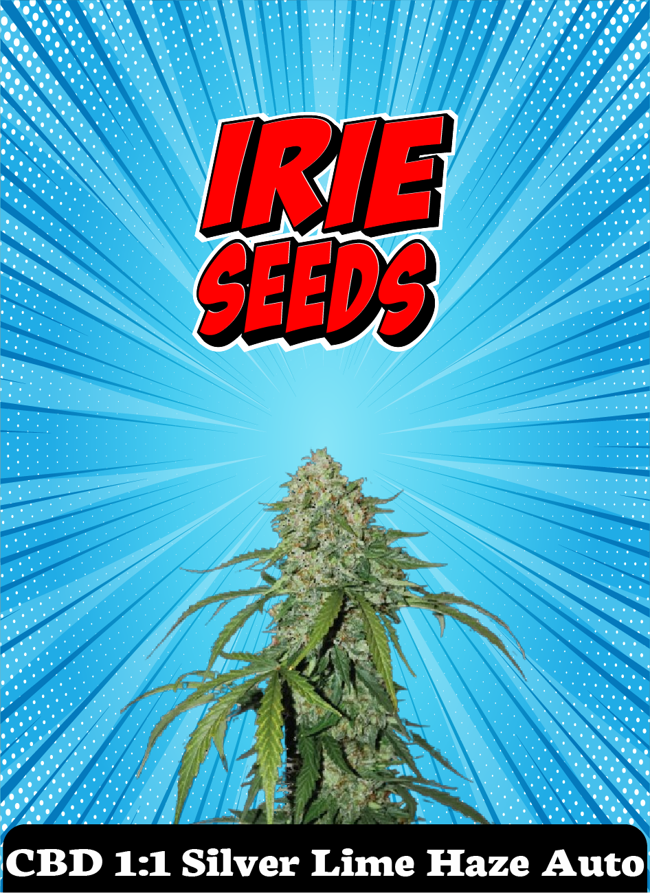 CBD 1:1 Silver Lime Haze Auto