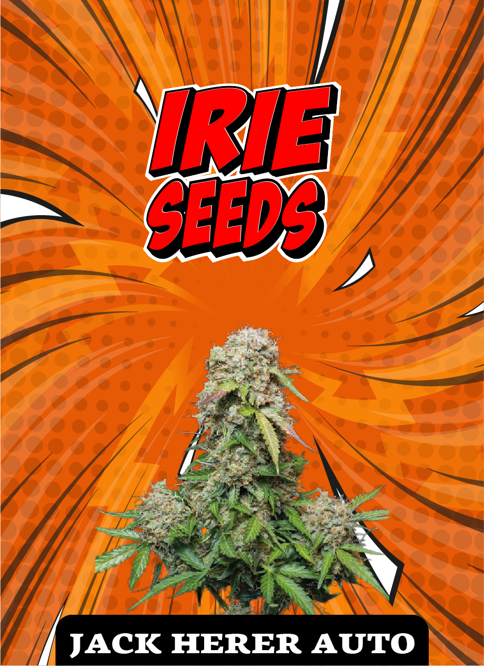 Jack Herer Auto