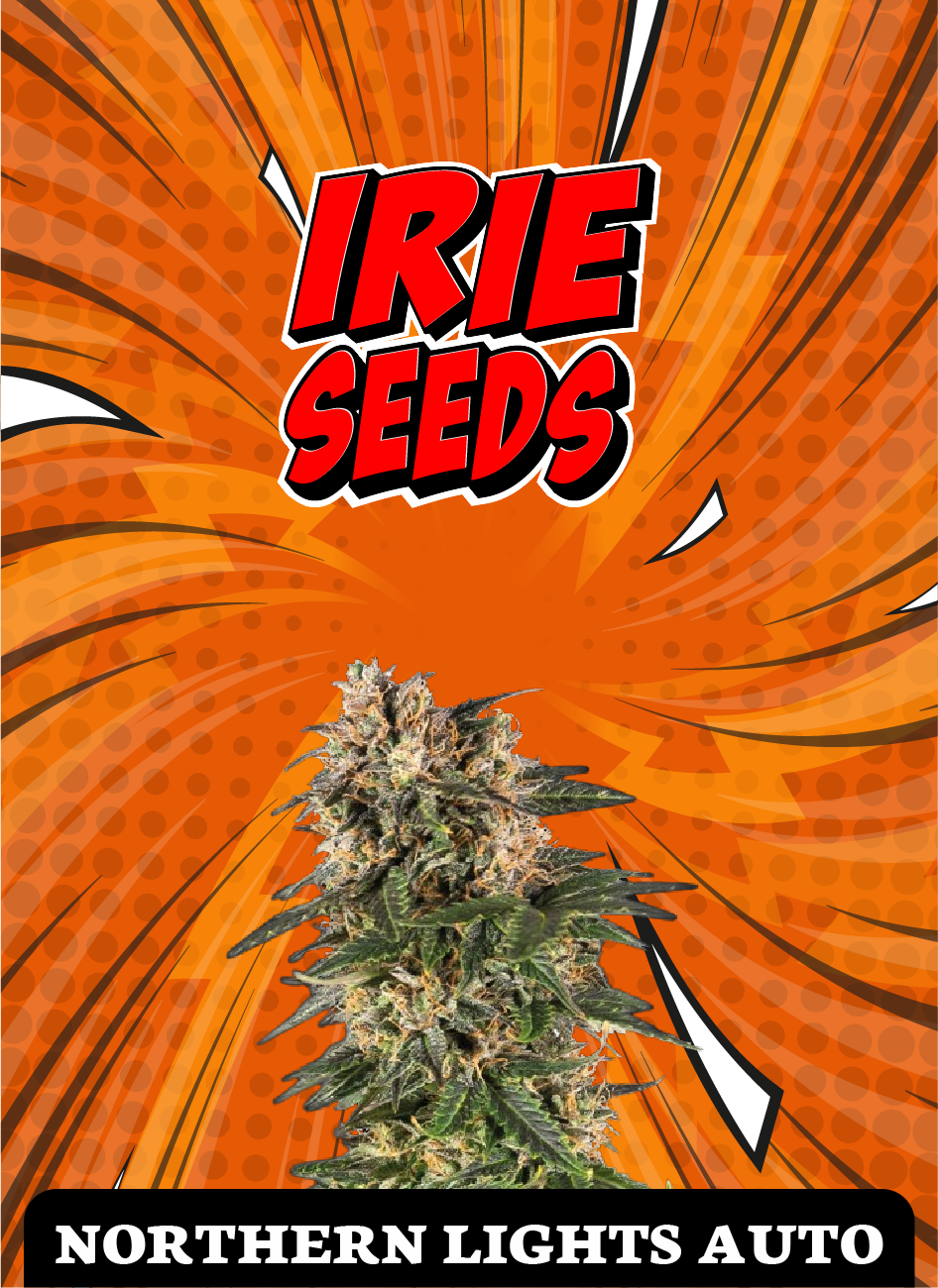 Northern Lights Auto