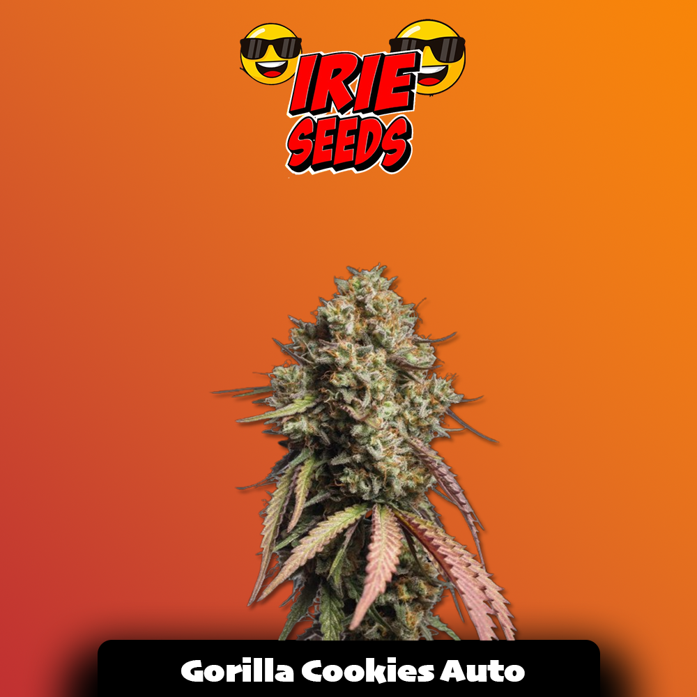 Gorilla Cookies Auto