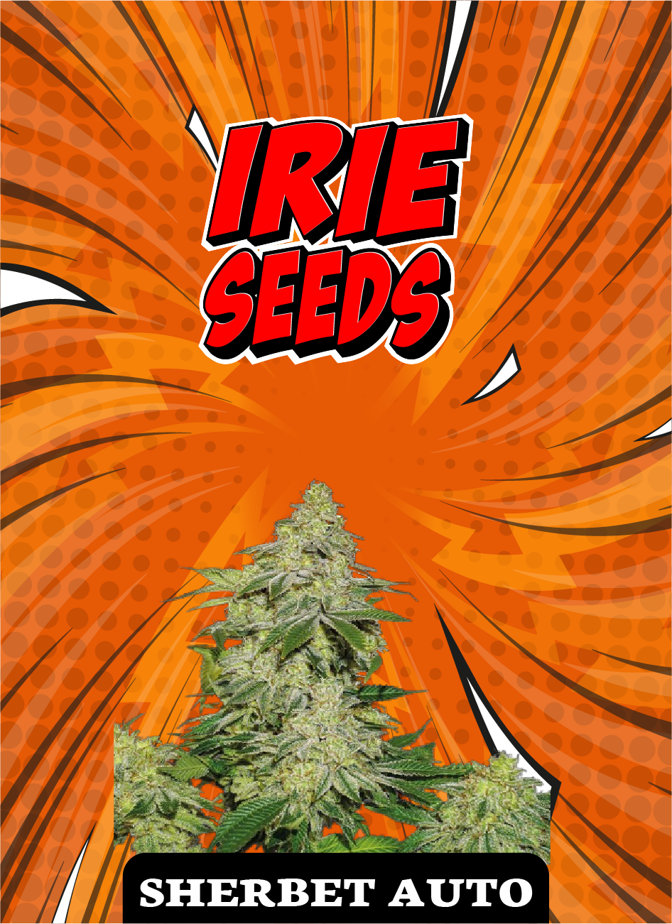Sherbet Auto