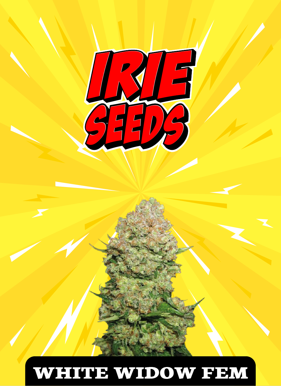 White Widow FEM