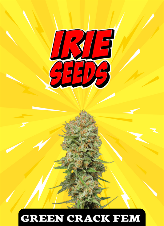 Green Crack FEM