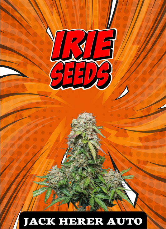 Jack Herer Auto