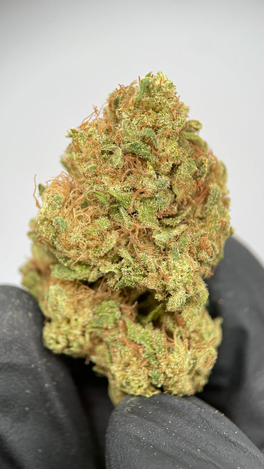 Gorilla Kush CBD Blüten