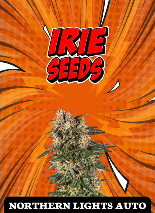 Northern Lights Auto