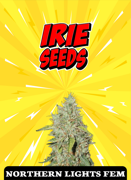 Northern Lights FEM