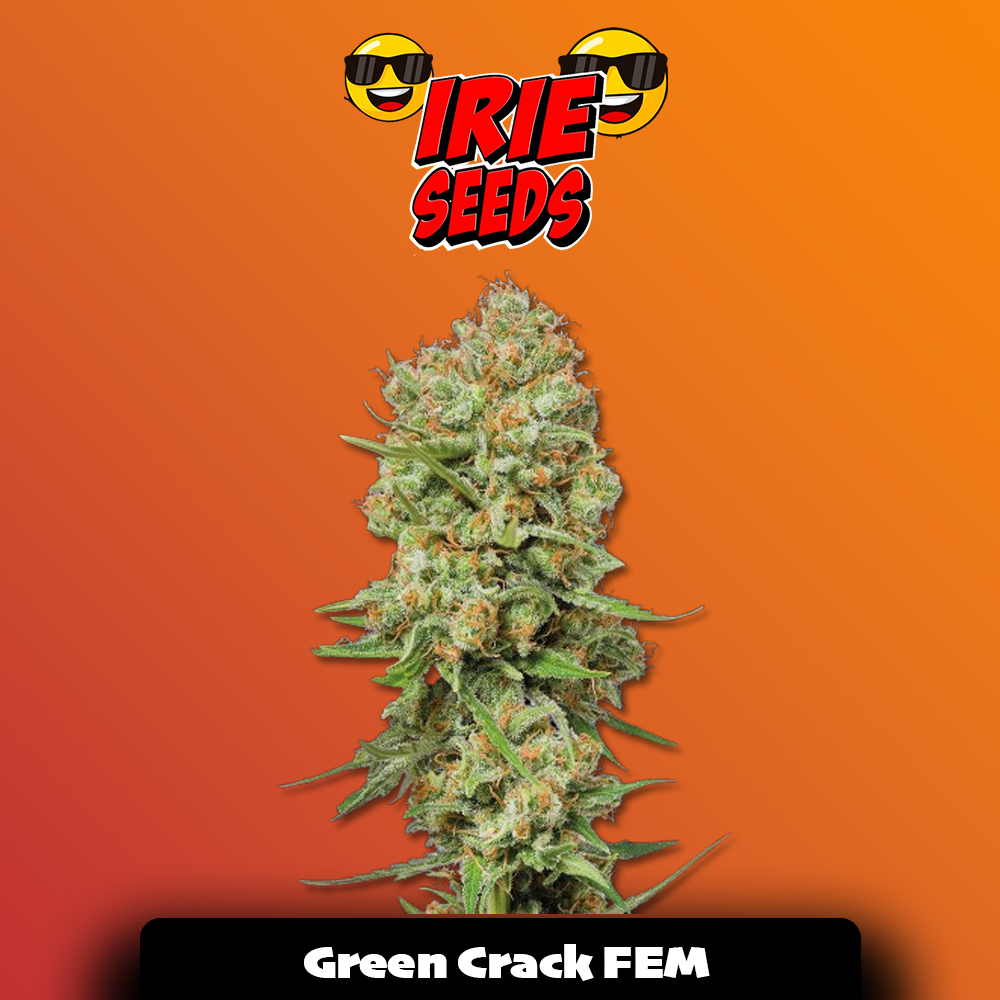 Green Crack FEM