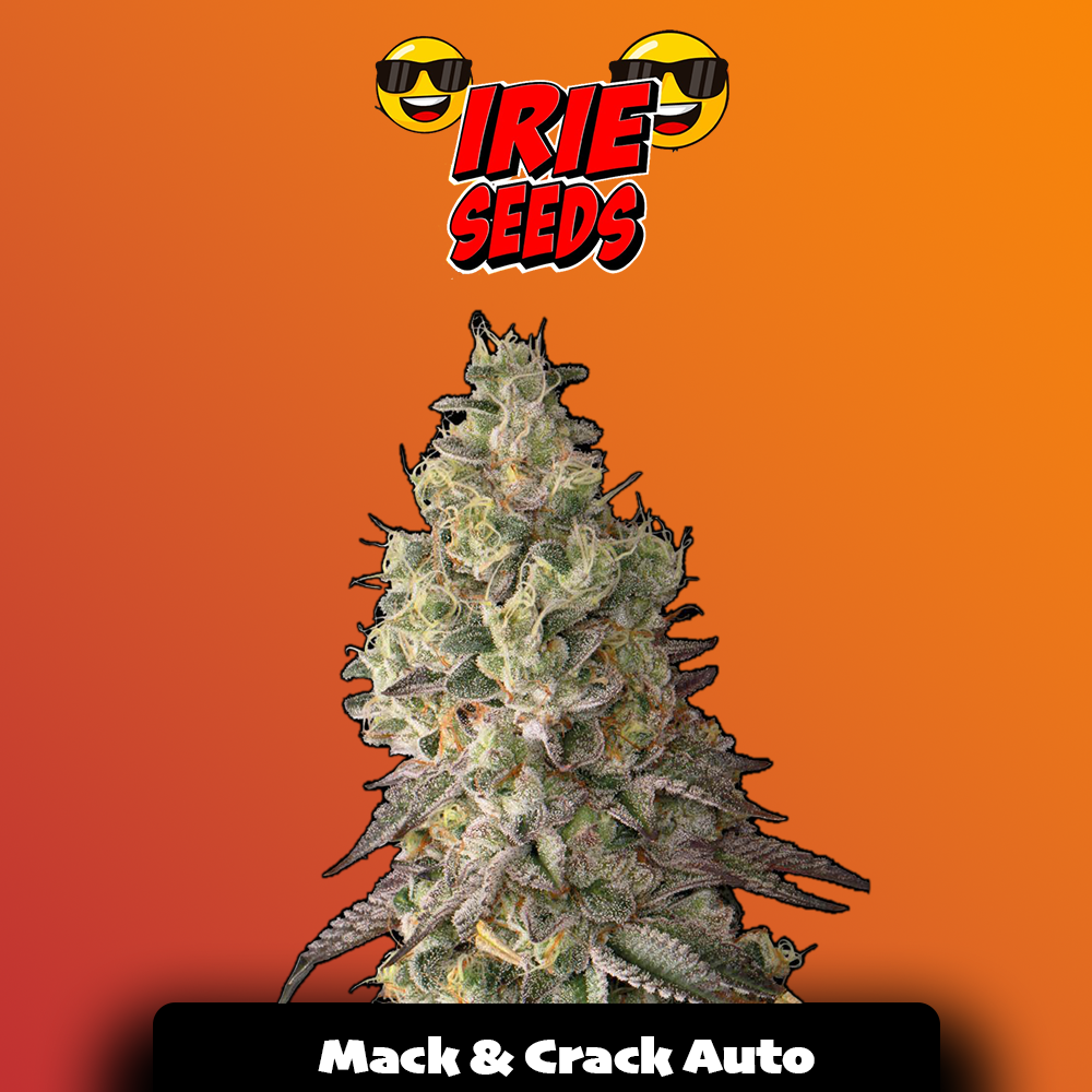 Mack & Crack Auto
