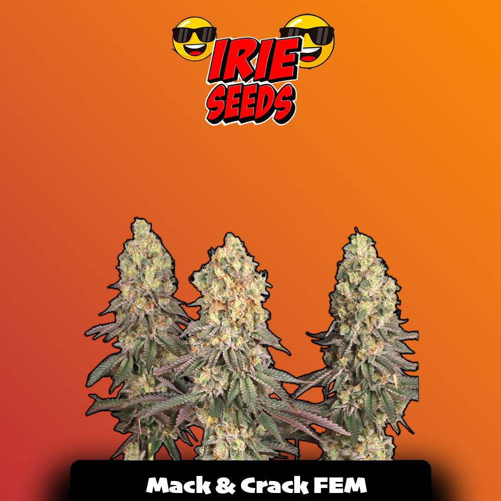 Mack & Crack FEM