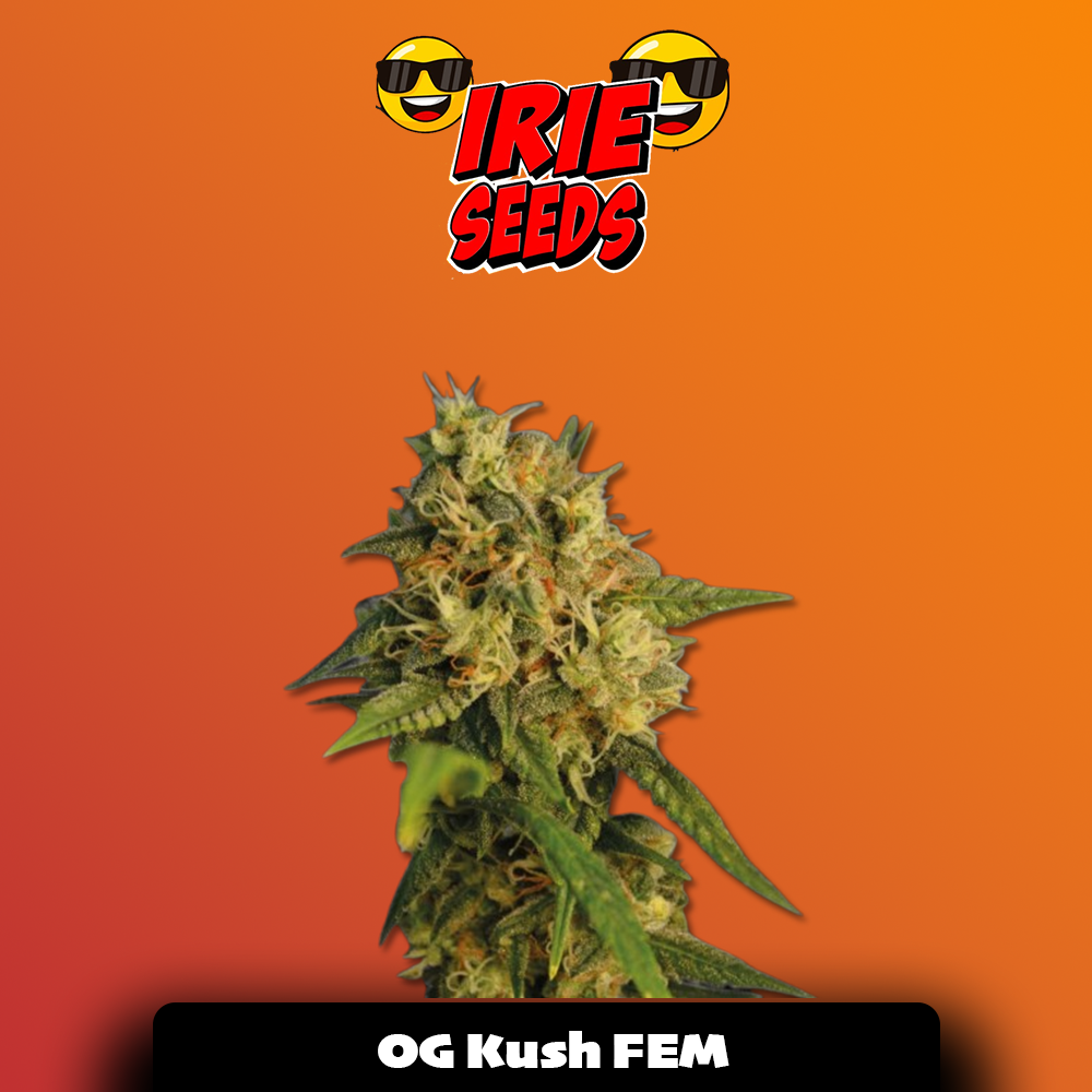 OG Kush FEM