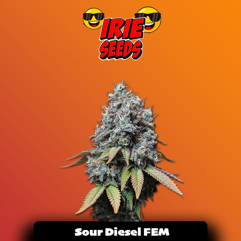 Sour Diesel FEM