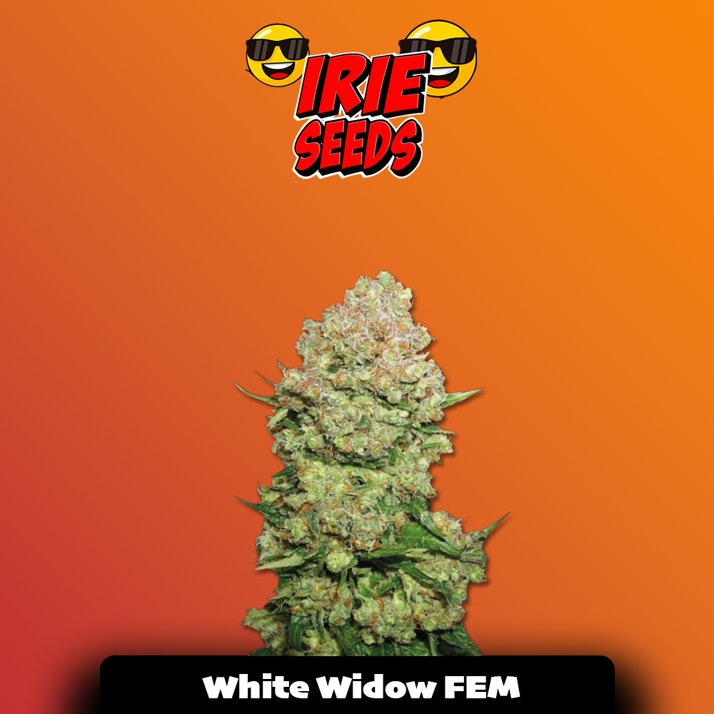 White Widow FEM