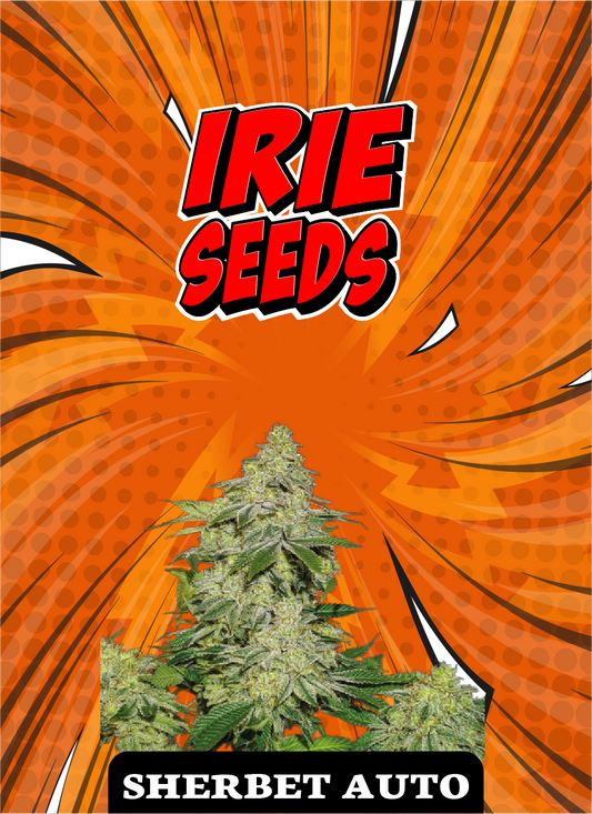 Sherbet Auto