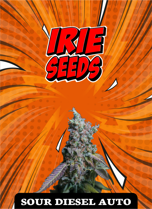 Sour Diesel Auto