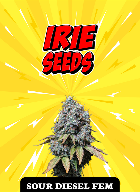Sour Diesel FEM