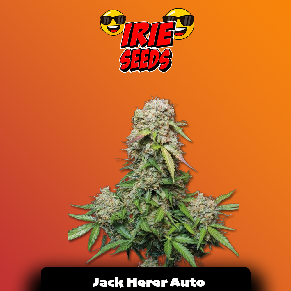 Jack Herer Auto